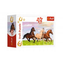 puzzle w mini pudełku konie